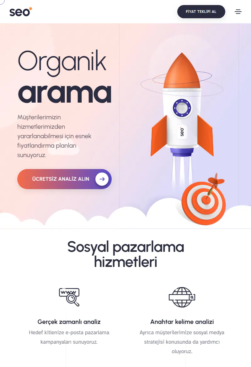 SEO ve Performans Ajansı web sitesi tasarımı